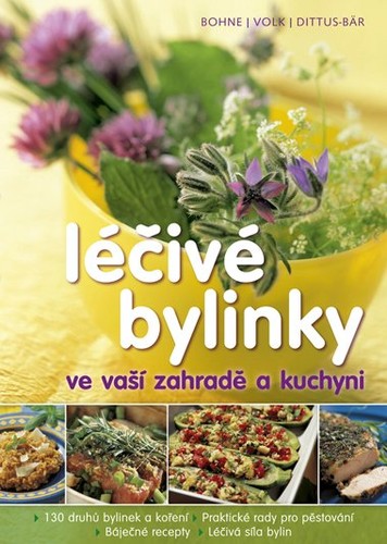 léčivé bylinky.jpg